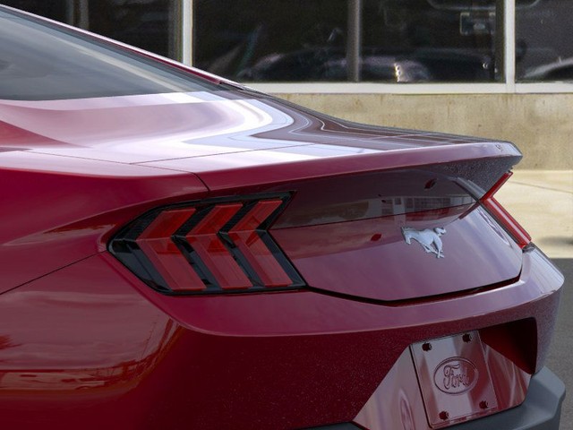 Ford Mustang Vehicle Image 22