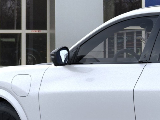 Ford Mustang Mach-E Vehicle Image 20