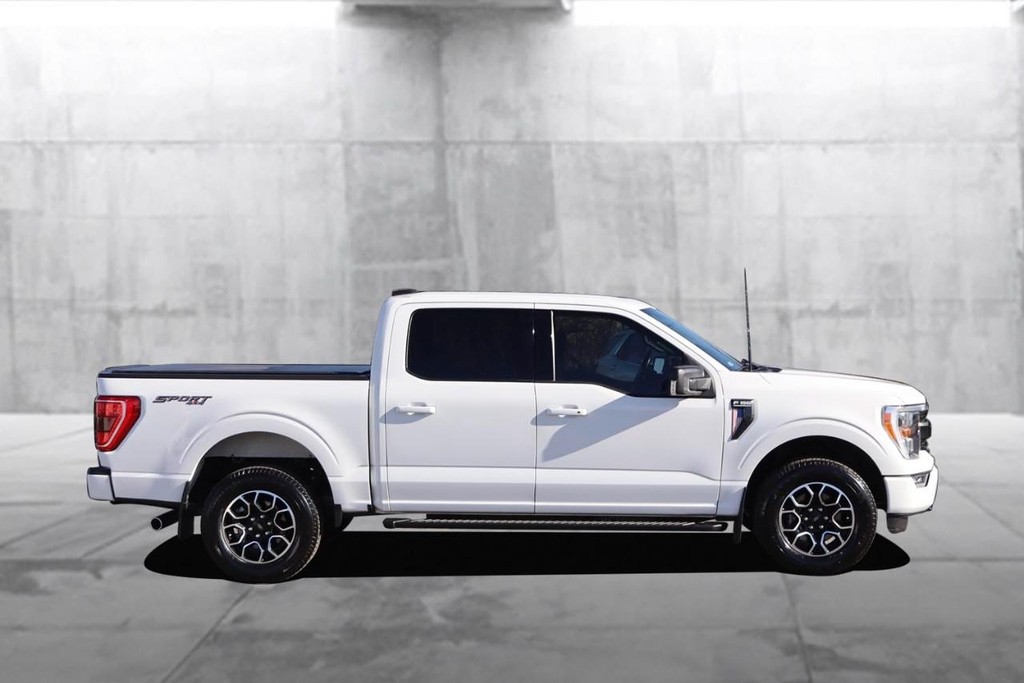 Ford F-150 Vehicle Image 05