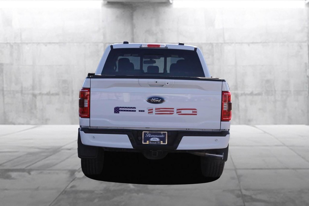 Ford F-150 Vehicle Image 06