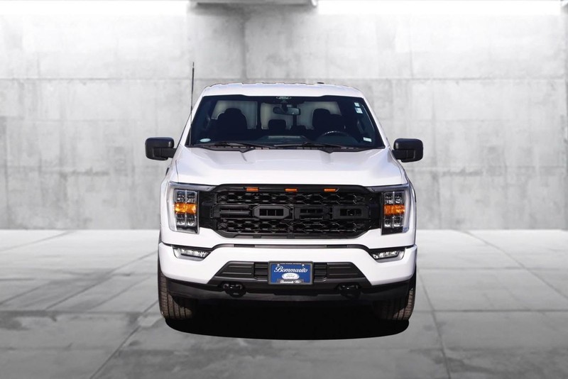 Ford F-150 Vehicle Image 04