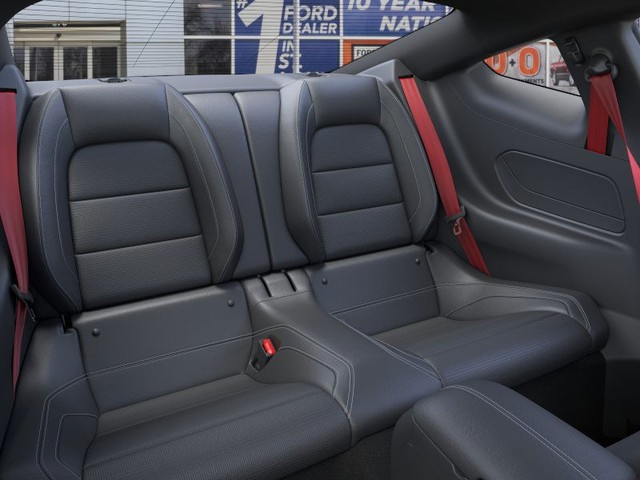 Ford Mustang Vehicle Image 11