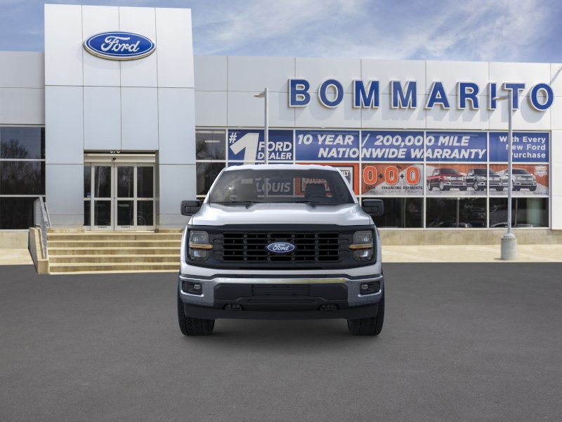 Ford F-150 Vehicle Image 06