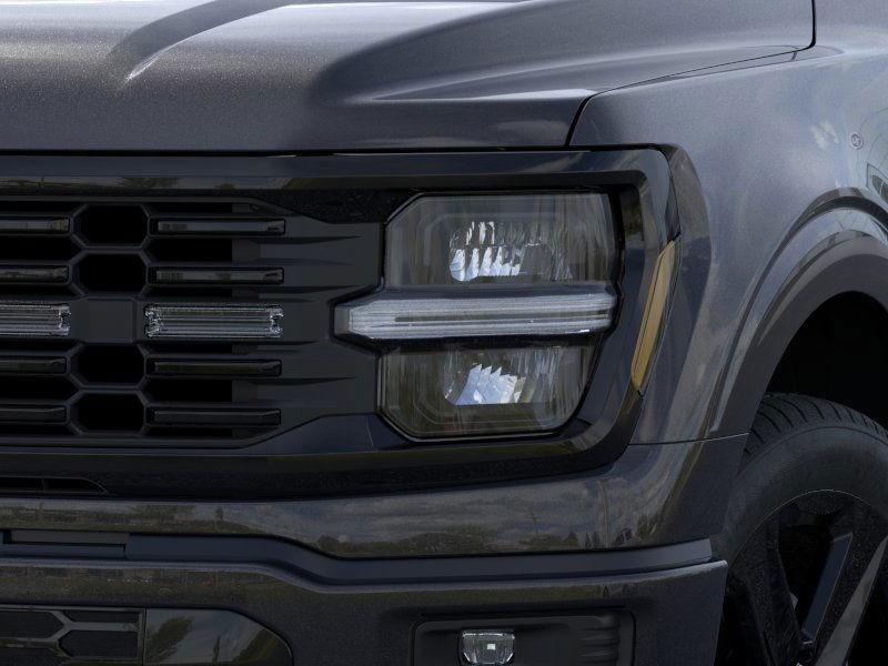 Ford F-150 Vehicle Image 18