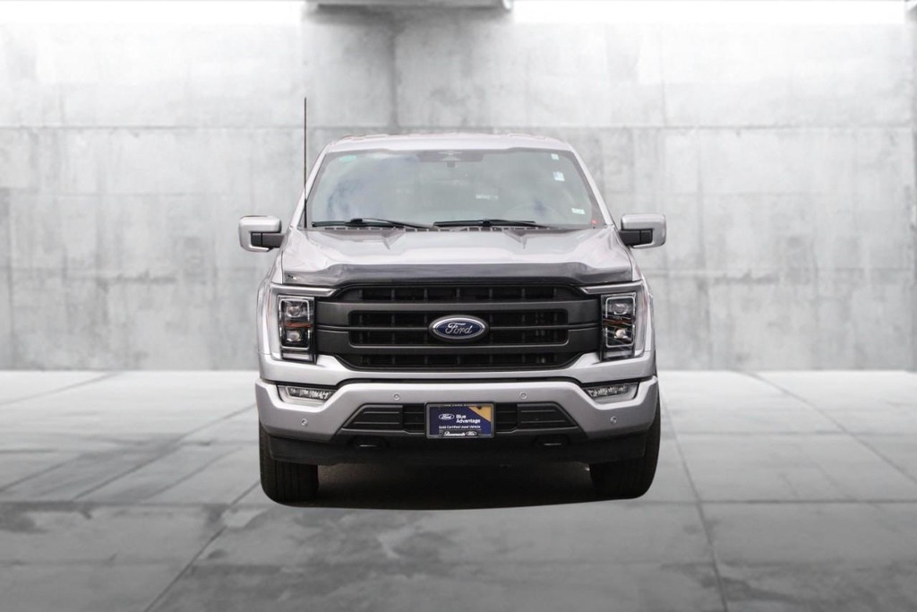 Ford F-150 Vehicle Image 04