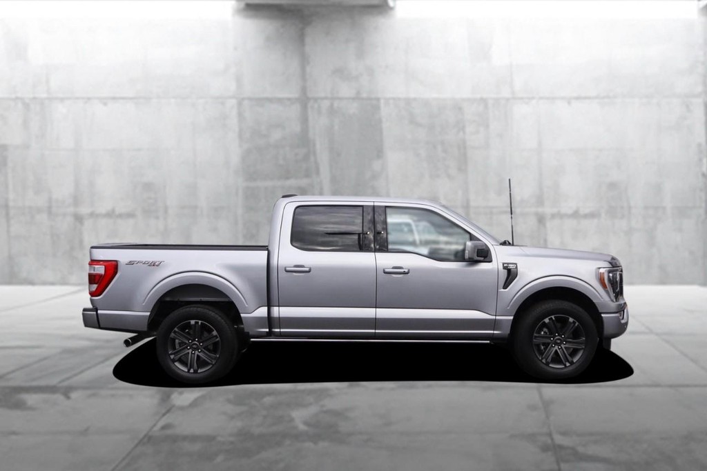 Ford F-150 Vehicle Image 05