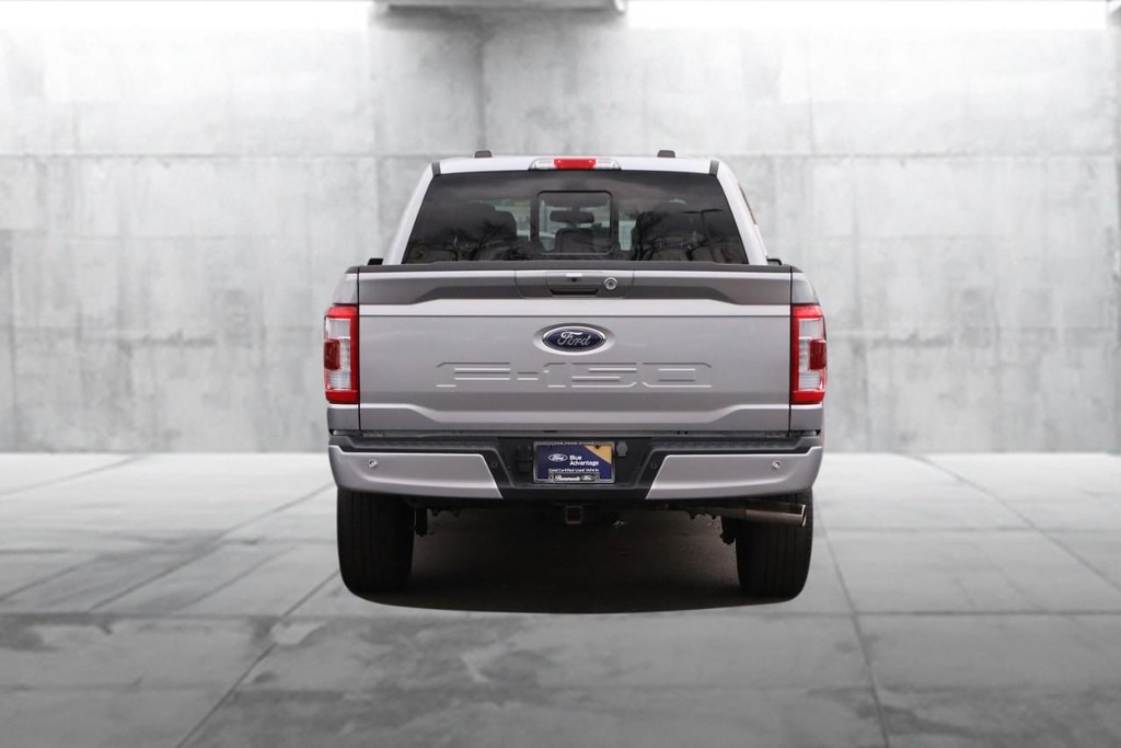 Ford F-150 Vehicle Image 06