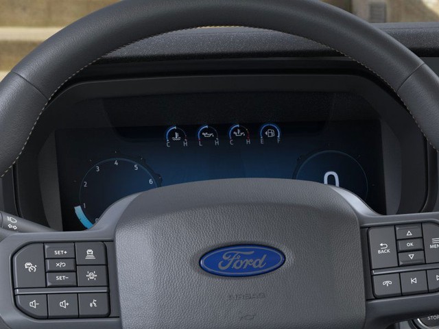 Ford F-150 Vehicle Image 13