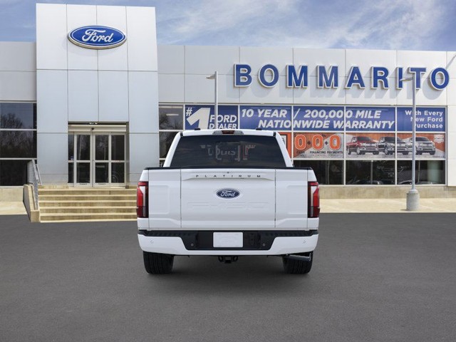 Ford F-150 Vehicle Image 05