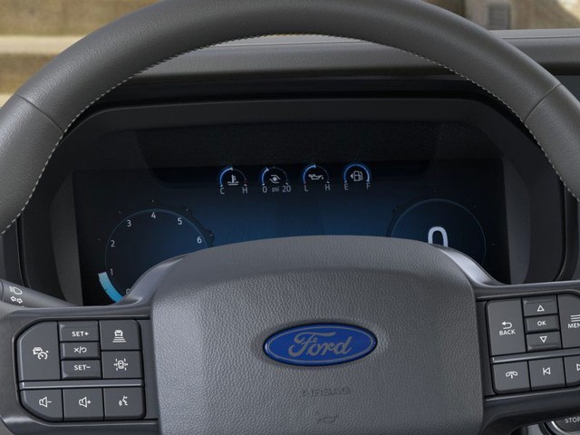 Ford F-150 Vehicle Image 13