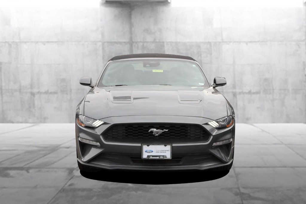 Ford Mustang Vehicle Image 04
