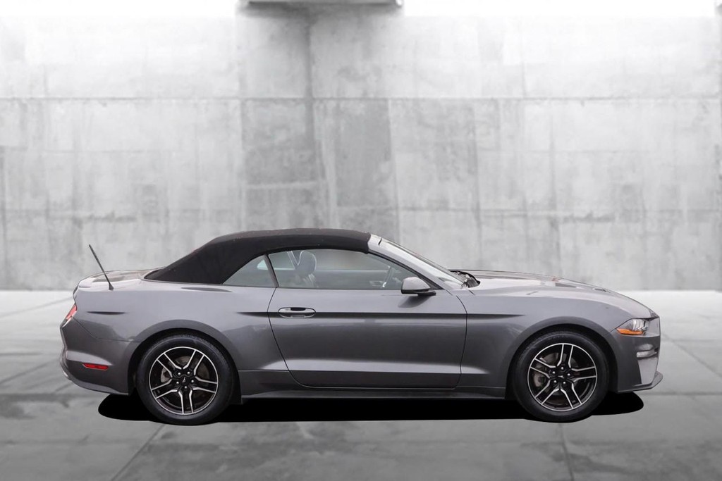 Ford Mustang Vehicle Image 05