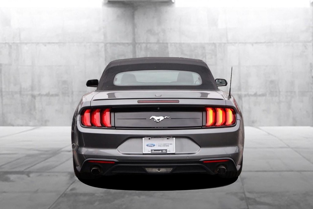 Ford Mustang Vehicle Image 06