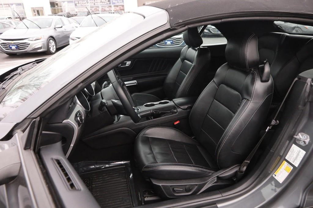 Ford Mustang Vehicle Image 07