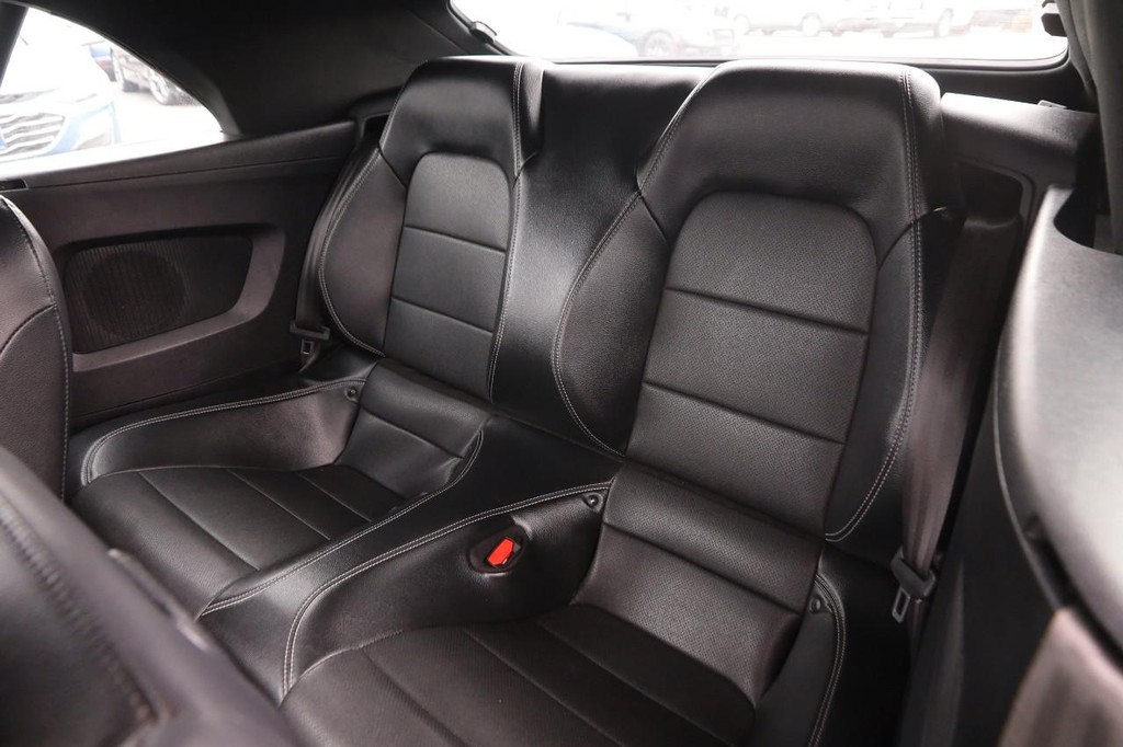 Ford Mustang Vehicle Image 08