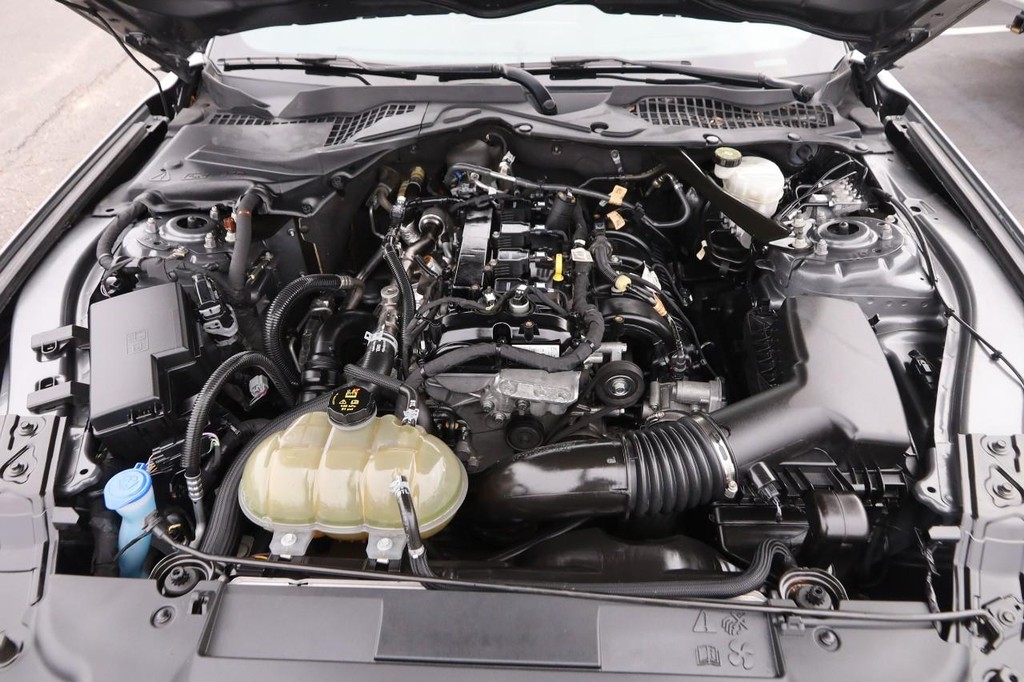 Ford Mustang Vehicle Image 23