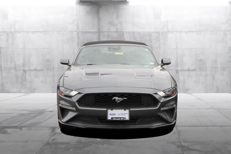 Ford Mustang Vehicle Image 04