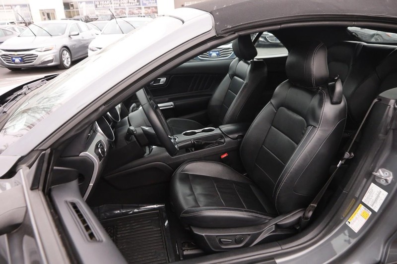 Ford Mustang Vehicle Image 07