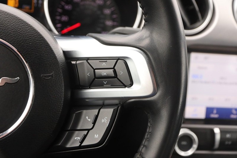 Ford Mustang Vehicle Image 11