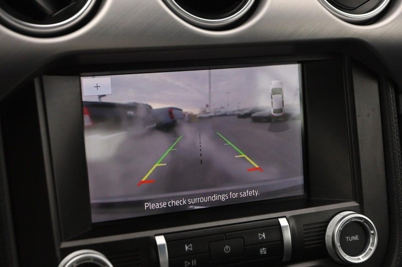 Ford Mustang Vehicle Image 16