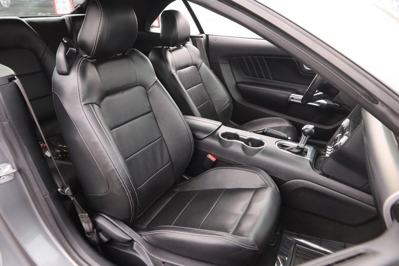 Ford Mustang Vehicle Image 22