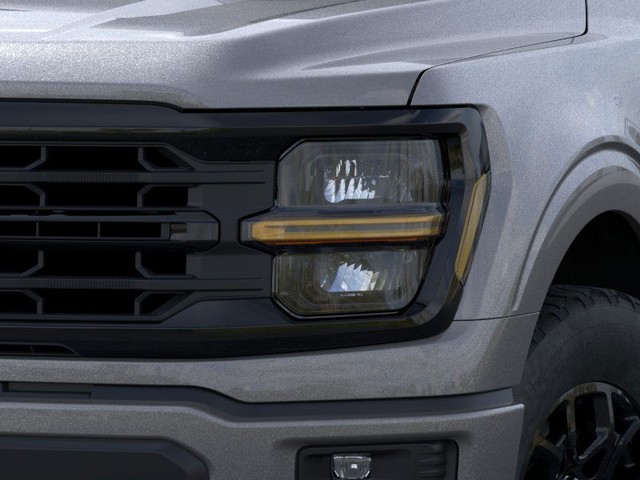 Ford F-150 Vehicle Image 18