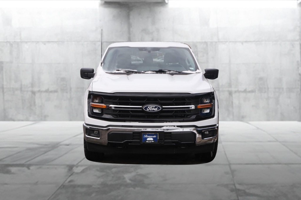 Ford F-150 Vehicle Full-screen Gallery Image 4