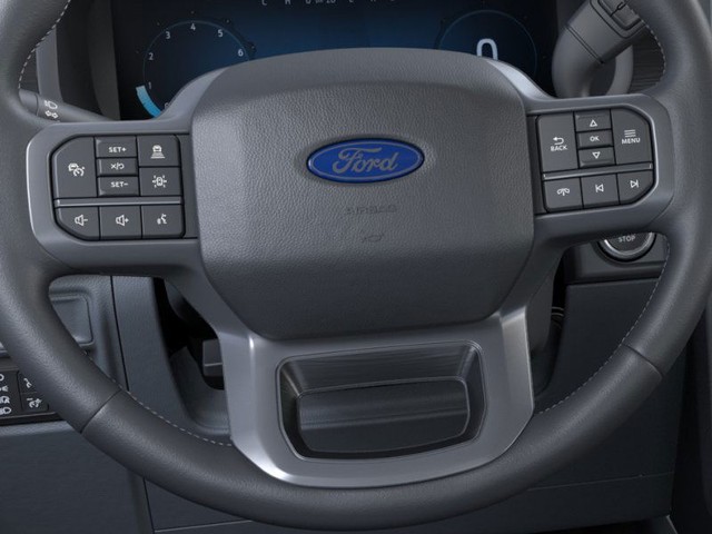 Ford F-150 Vehicle Image 11