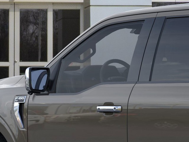 Ford F-150 Vehicle Image 19