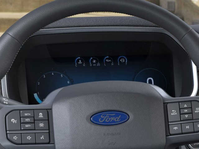 Ford F-150 Vehicle Image 13