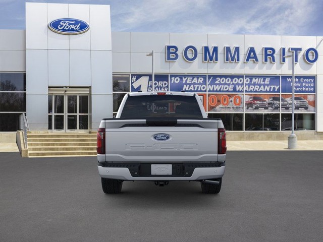 Ford F-150 Vehicle Image 05