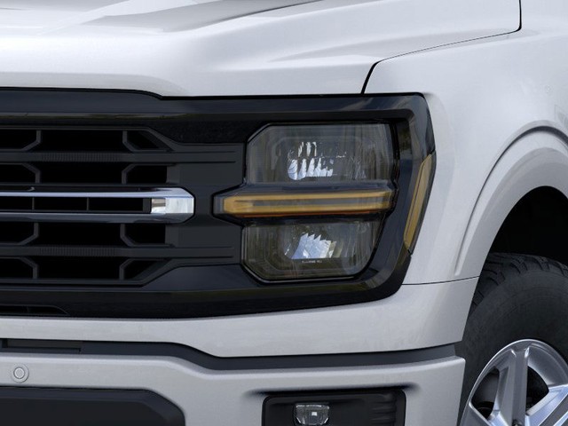 Ford F-150 Vehicle Image 18