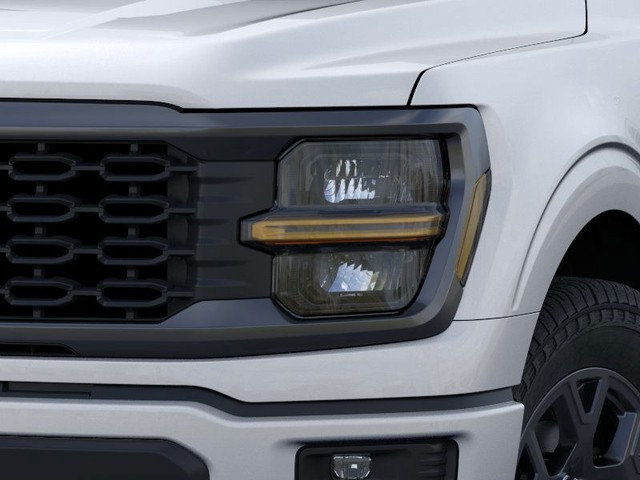 Ford F-150 Vehicle Image 18