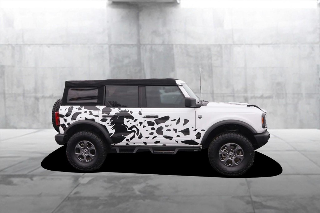 Ford Bronco Vehicle Image 05