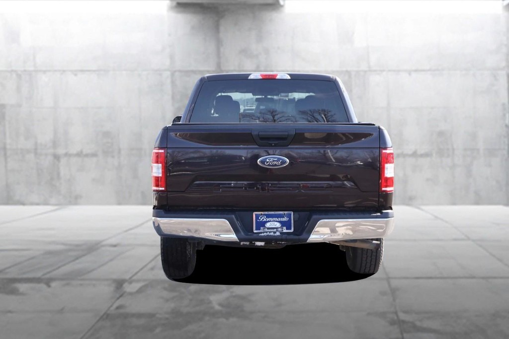 Ford F-150 Vehicle Image 06