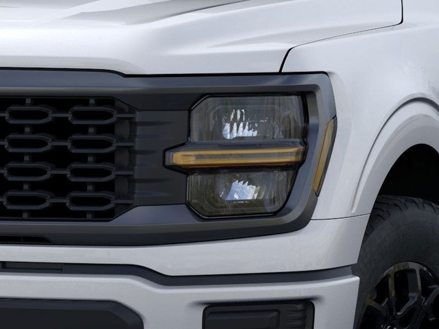Ford F-150 Vehicle Image 17
