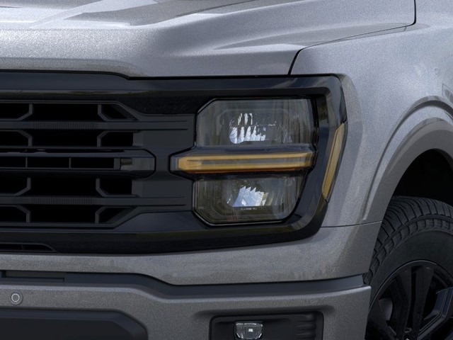 Ford F-150 Vehicle Image 18