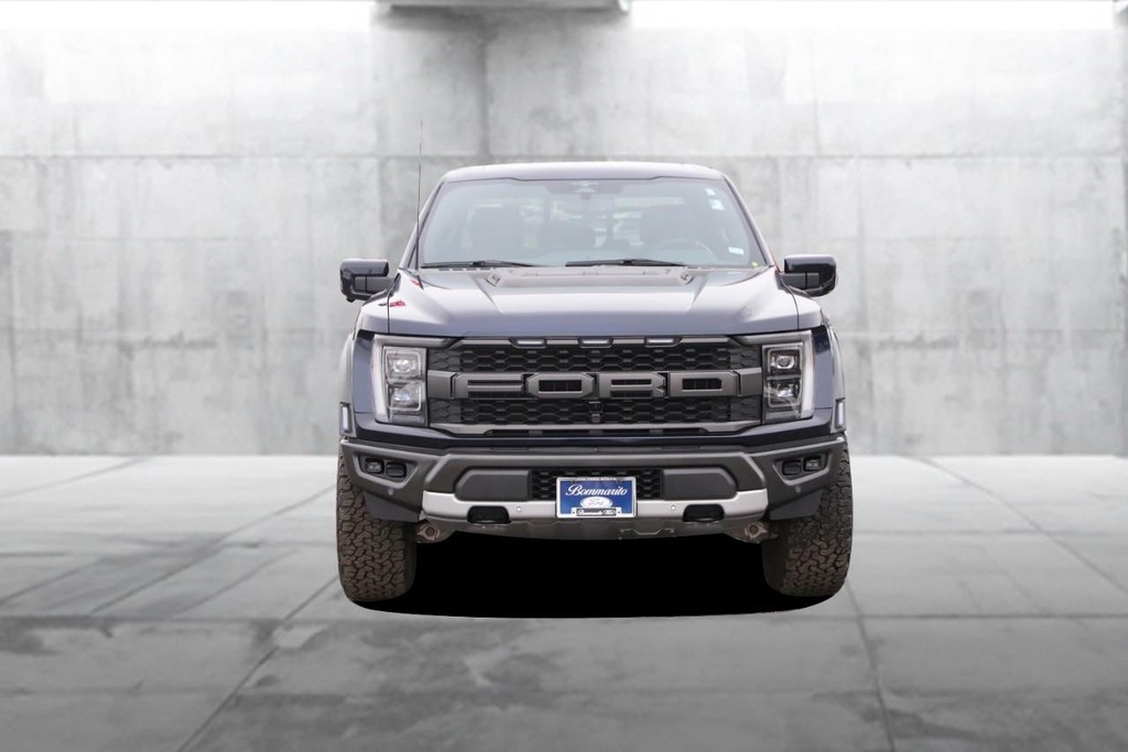 Ford F-150 Vehicle Full-screen Gallery Image 4