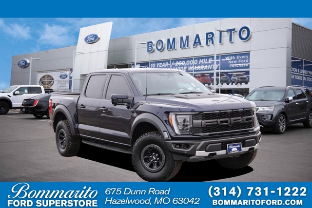 more details - ford f-150