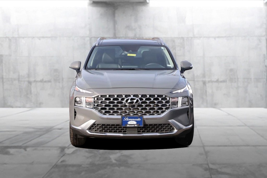 Hyundai Santa Fe Vehicle Image 04