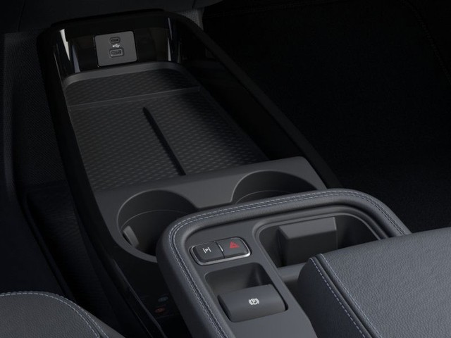 Ford Mustang Mach-E Vehicle Image 15