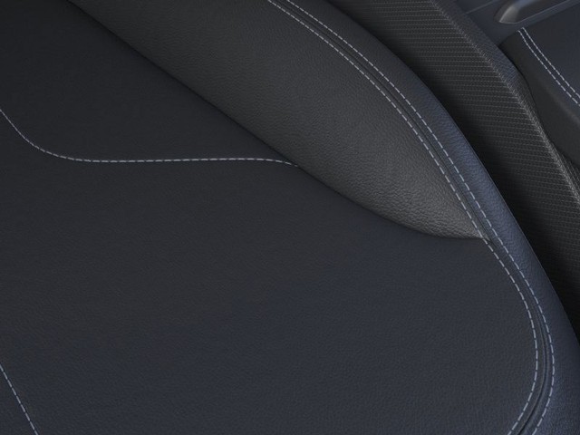 Ford Mustang Mach-E Vehicle Image 16