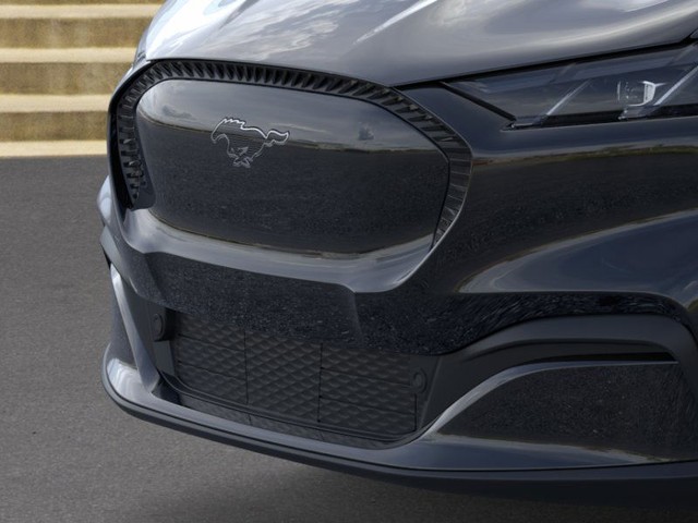 Ford Mustang Mach-E Vehicle Image 17