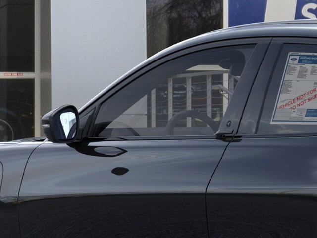 Ford Mustang Mach-E Vehicle Image 20