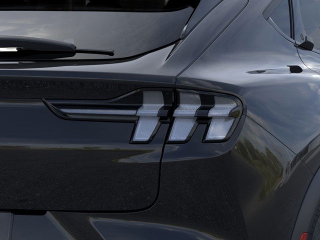 Ford Mustang Mach-E Vehicle Image 21