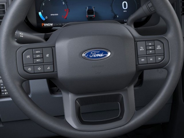 Ford Super Duty F-250 SRW Vehicle Image 12