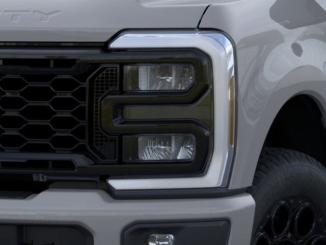 Ford Super Duty F-250 SRW Vehicle Image 18