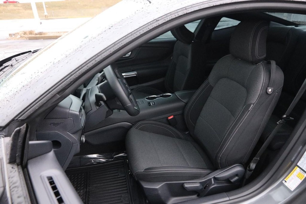 Ford Mustang Vehicle Image 08