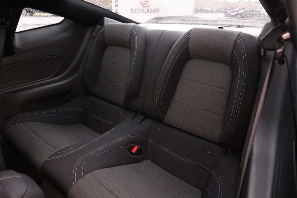 Ford Mustang Vehicle Image 09