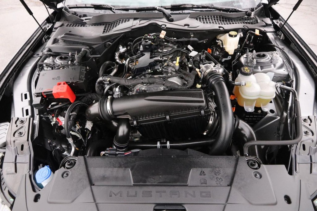 Ford Mustang Vehicle Image 23